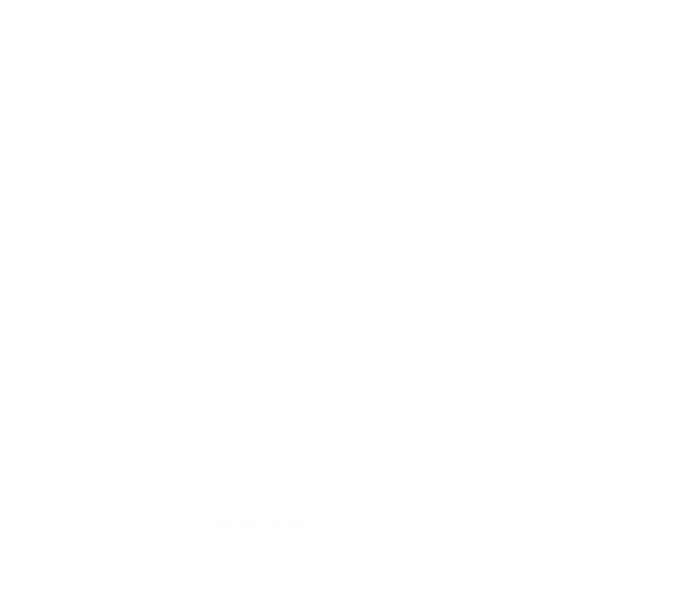 Swiss Digital Invest AG